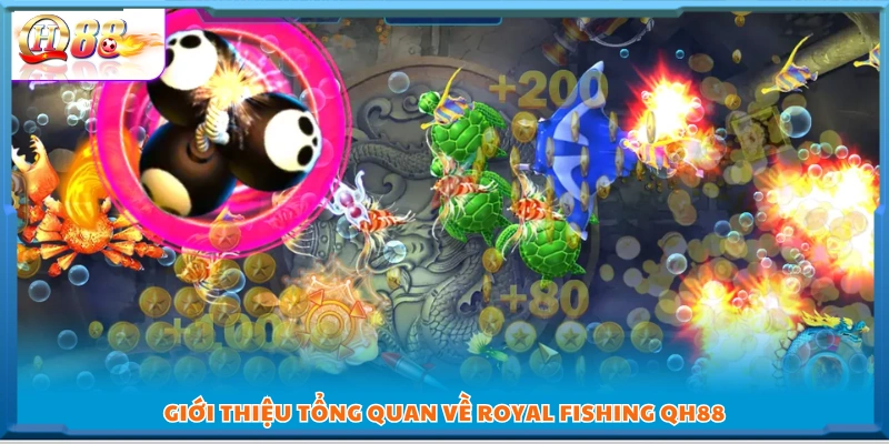 Tổng quan Royal Fishing QH88