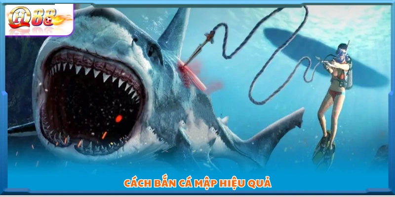 Bí quyết tiêu diệt cá mập nhanh – tiết kiệm đạn